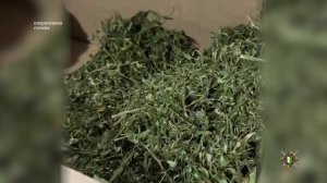 Наркотическое средство в особо крупном размере изъято у жителей Очамчырского района.