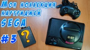 Моя коллекция картриджей Sega #3. Средние боксы