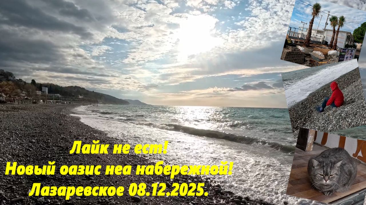 Лайк не есть! Новый оазис на набережной! Лазаревское 08.12.2025. смотреть онлайн