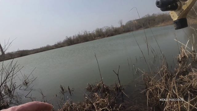 ЛОВЛЯ КАРАСЯ НА ПОПЛАВОЧНУЮ УДОЧКУ / РЫБАЛКА НА КАРАСЯ смотреть онлайн