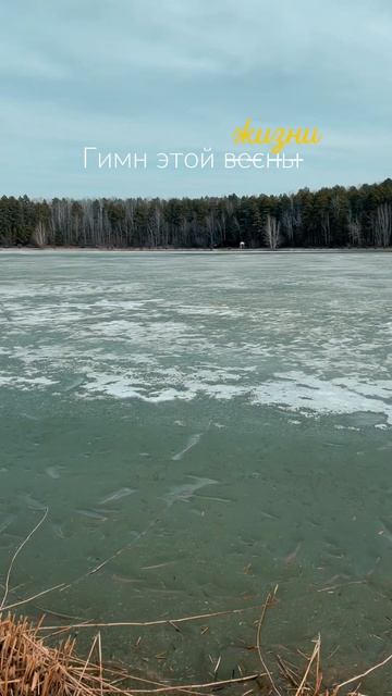 ВЕСНА В СИБИРИ | ОТДЫХ В РОССИИ смотреть онлайн