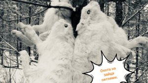 Петли на зайца. Два отрыва.