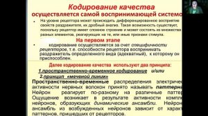 Сенсорные системы. Дьяконова И.Н.