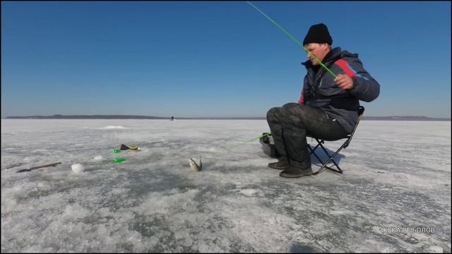 УДОЧКА В ДУГУ / КАК ПРИЯТНО ЛОВИТЬ ТАКУЮ РЫБУ смотреть онлайн