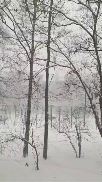 🥶Морозы до -15 градусов придут в Подмосковье в воскресенье🥶 смотреть онлайн