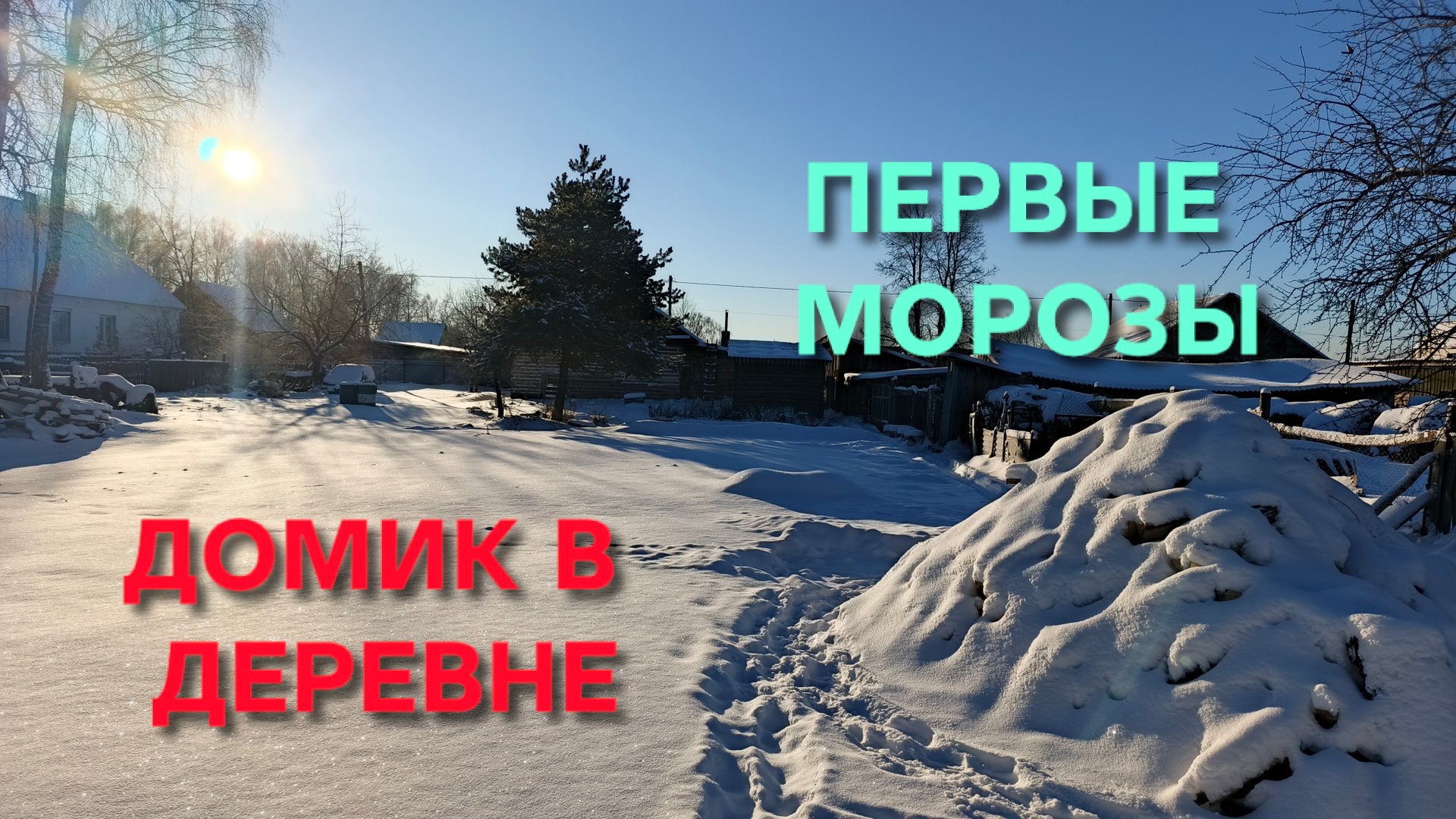 Жизнь в деревне Дождались первых морозов Как куры пережили первый мороз Топим печь валежником