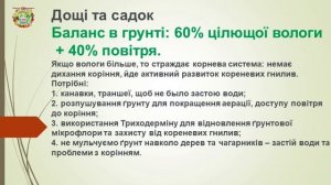 Что делать садоводу в 2026? Прогноз погоды и уход за растениями