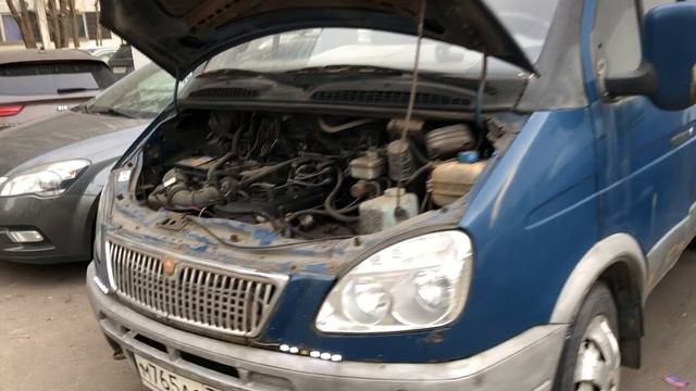 Видео Газель смотреть онлайн