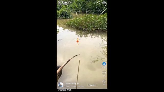 Как китайцы рыбу ловят смотреть онлайн