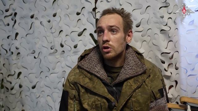 Скитались по домам в Димитрове в поиске пропитания смотреть онлайн