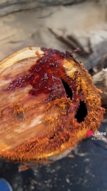 Как плачет #эвкалипт