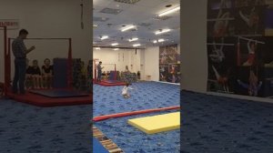 Соревнования по спортивной гимнастике 1 место 6 лет