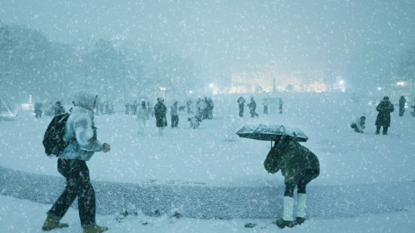 서울 첫눈! 엄청난 기습 폭설! 눈 내리는 풍경, 고려대학교 설경, 서울여행워커