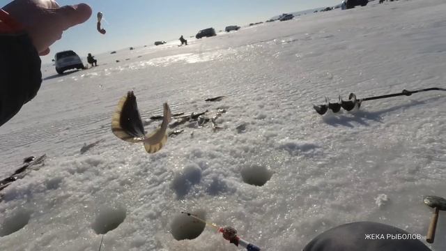 НАШЕЛ ЗОЛОТУЮ ЛУНКУ / НАРВАЛСЯ НА КОСЯК РЫБЫ смотреть онлайн