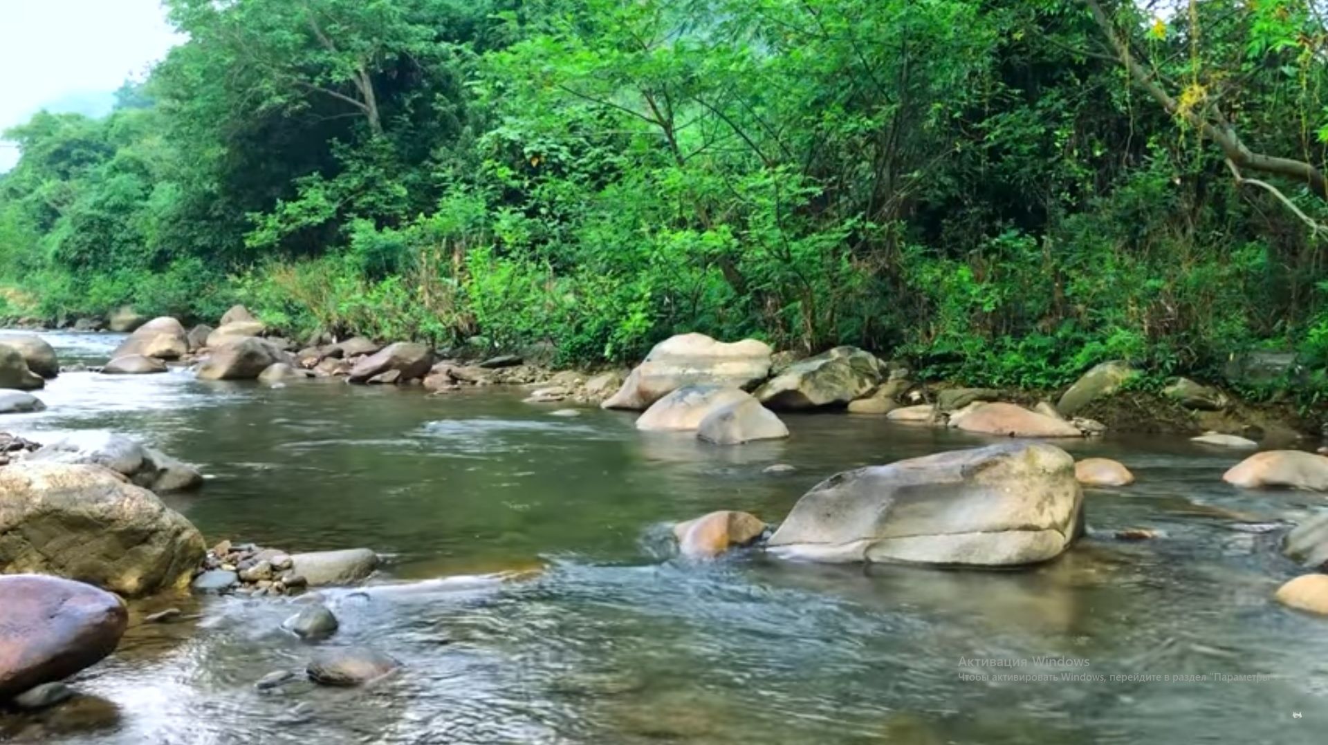 Симфония лесных птиц и ручьев, Расслабляющие звуки природы, Умиротворяющая природа исцеляет Душу, Ра смотреть онлайн