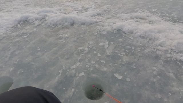 В ГЛУХОЗИМЬЕ ЭТА СНАСТЬ ДЕЛАЕТ РЕЗУЛЬТАТ / БЕЗ РЫБЫ НЕ ОСТАНЕТЕСЬ #рыбалка #жекарыболов #fishing смотреть онлайн