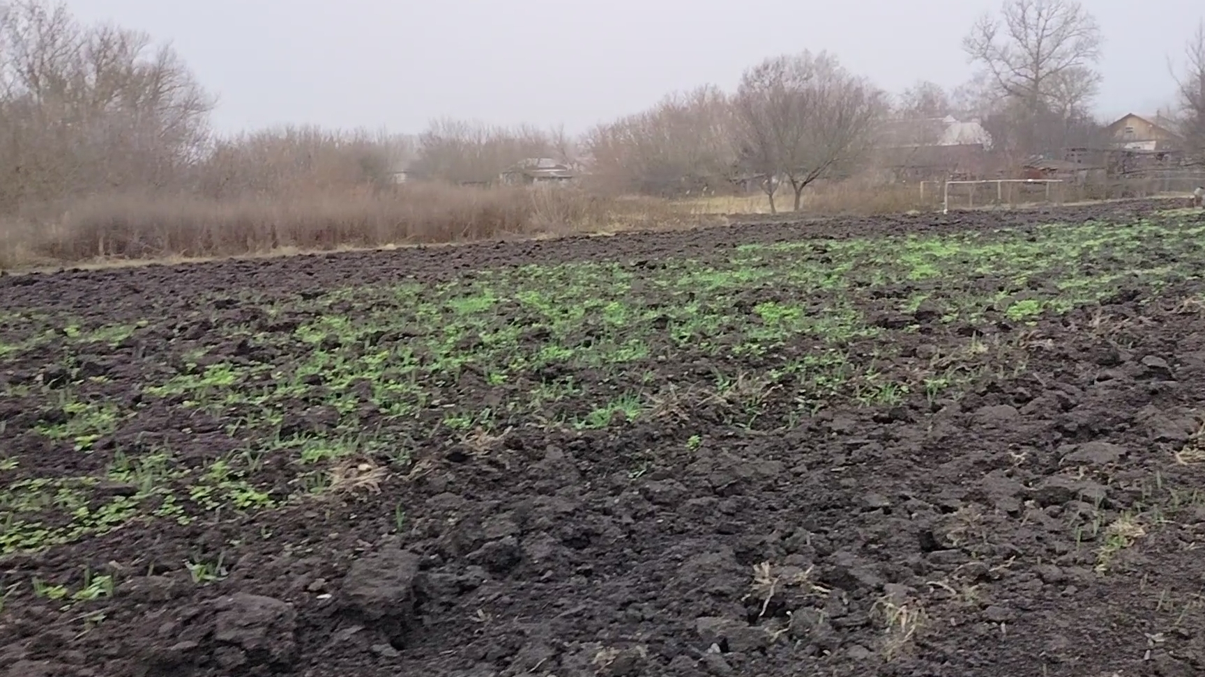 Птицы снова прилетели)) Декабрьские сидераты)) Про посудомойку)) смотреть онлайн