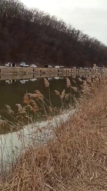 РЫБАЛКА НА МЕСТНОЙ РЕЧКЕ смотреть онлайн