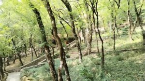 пансионат Альфа в Бетте