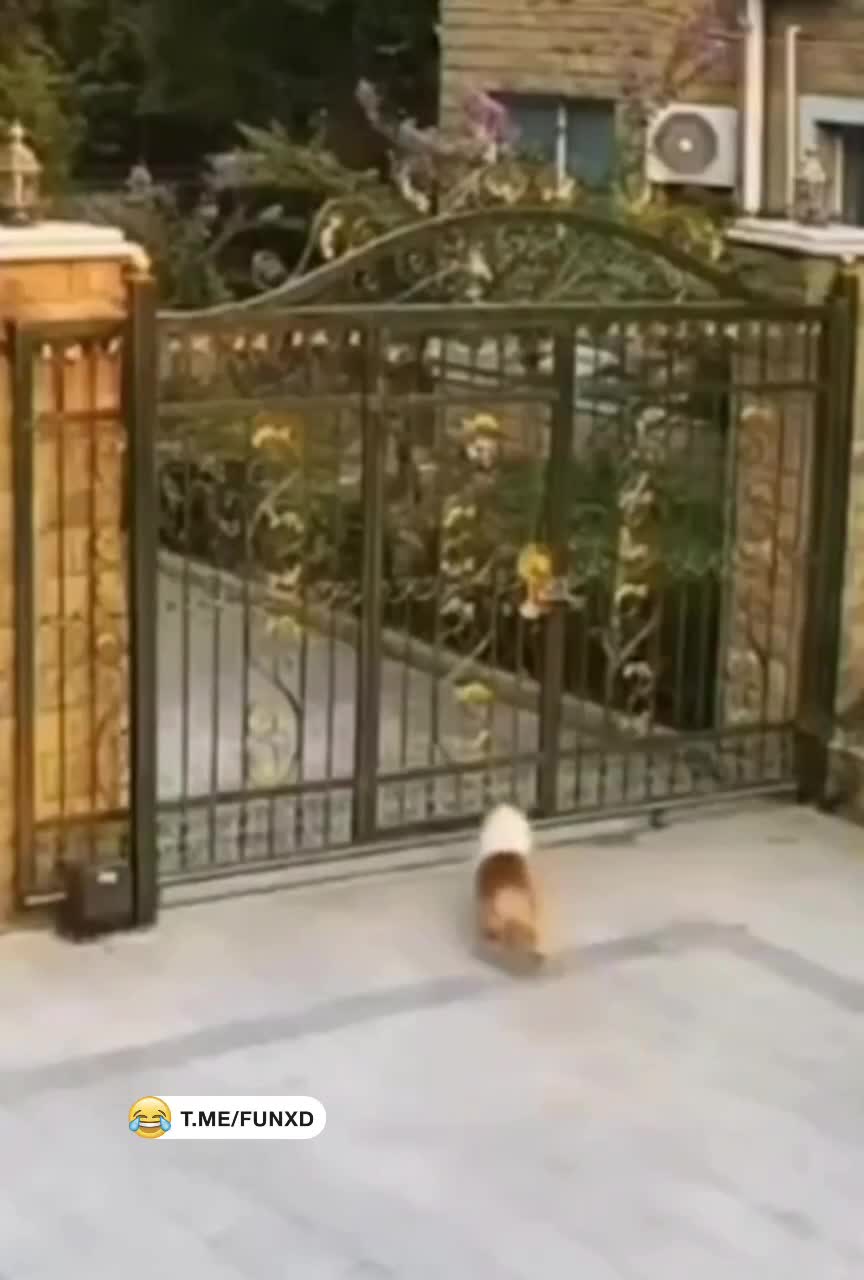 Для баланса😆 смотреть онлайн