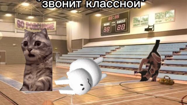 МЕМ КОТЫ ШКОЛА🏫 2 ЧАСТЬ смотреть онлайн