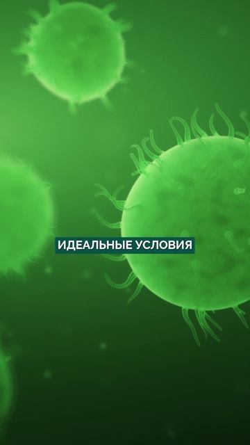 Вы ЕДИТЕ это КАЖДЫЙ день, а он вас УБИВАЕТ! #здоровье #продукты #долголетие смотреть онлайн
