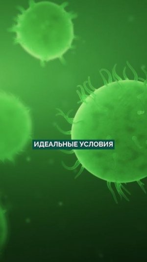 Вы ЕДИТЕ это КАЖДЫЙ день, а он вас УБИВАЕТ! #здоровье #продукты #долголетие