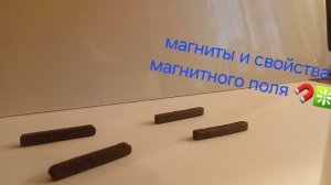 магнитное поле и свойства магнитов от 08.12.2025 г. ❇️🧲❇️🧲❇️ приятного просмотра и хорошего дня!😇