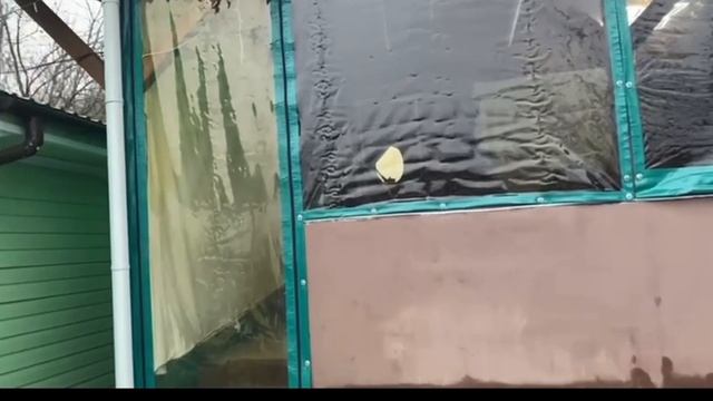 видео дача смотреть онлайн
