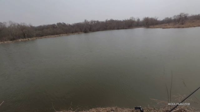 УСТАЛ ТАСКАТЬ / ПОПАЛ НА КЛЁВ КАРАСЯ смотреть онлайн