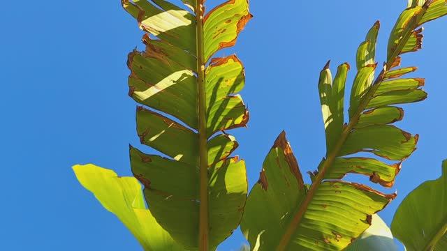 Практическая работа № 7 "WALLDO" Федорова Дарья смотреть онлайн