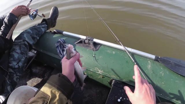 Тавричанка краснопёрка осенью. Рыбалка в Тавричанке. Морская рыбалка. смотреть онлайн
