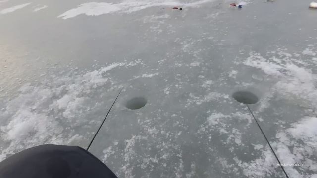 УГОЛЬНАЯ снова раздаёт. Рыбалка КРУПНОЙ СЕЛЁДКИ на серебряные блёсна. смотреть онлайн