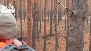 Тамбовская область: охота на кабана 2025 в охотхозяйстве «Лебяжье»