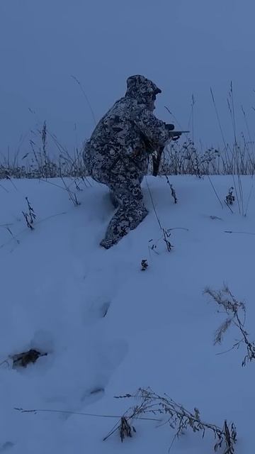 Охота на тетерева с оптическим прицелом ARTELV LRS 3-18x50 FFP 34 мм. смотреть онлайн