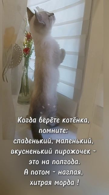 Вот это зима......