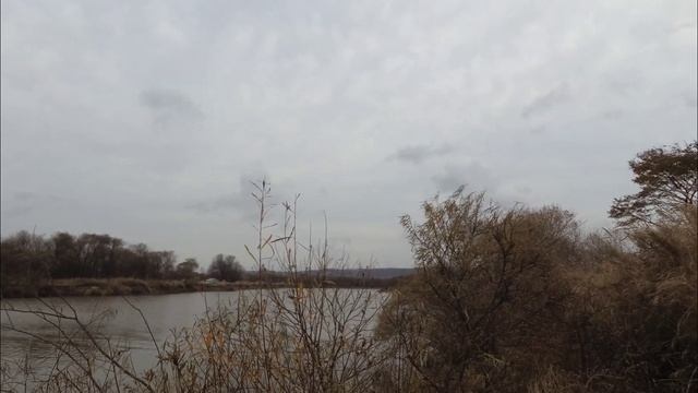 Рыбалка в октябре на протоке Смеринка. Карась и Краснопёрка смотреть онлайн