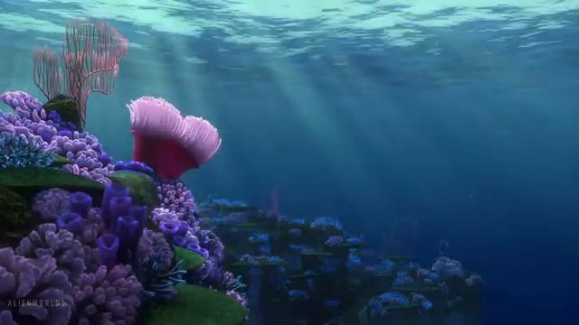 Finding Nemo 2003 | Ambient Soundscape смотреть онлайн
