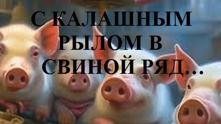 С КАЛАШНЫМ РЫЛОМ В СВИНОЙ РЯД… видео (из серии "ПРОДАЖИ И ПРОДАЖНЫЕ ЛЮДИ")
