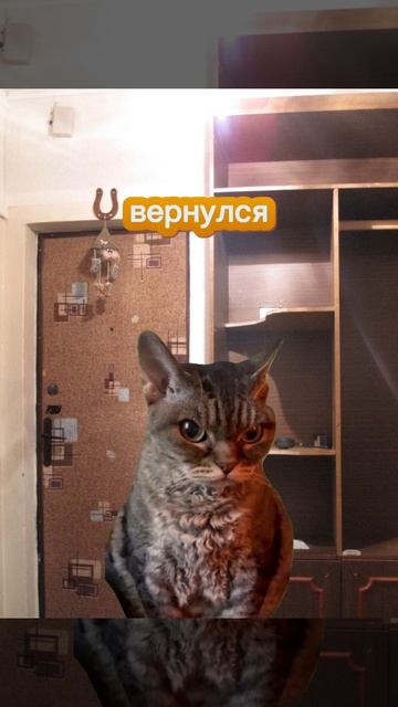 Папа сходил за хлебом