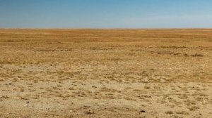 Кочевая жизнь #67 часть