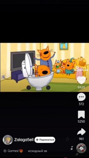 скибиди трикота