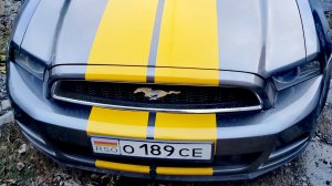 Форд Мустанг. А вы так ездите??)))