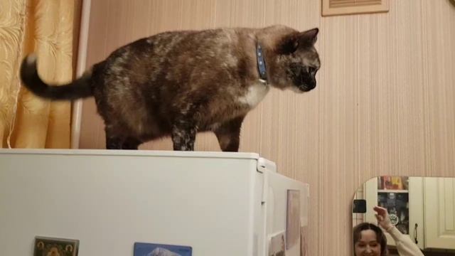 Леся и Сёма - Наглая молодёжь смотреть онлайн