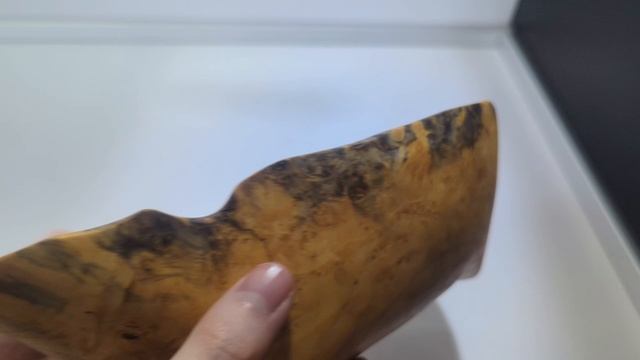 VN20251208_122910