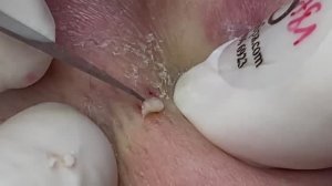 Relax Spa 018 • АСМР • SacDepSpa collection