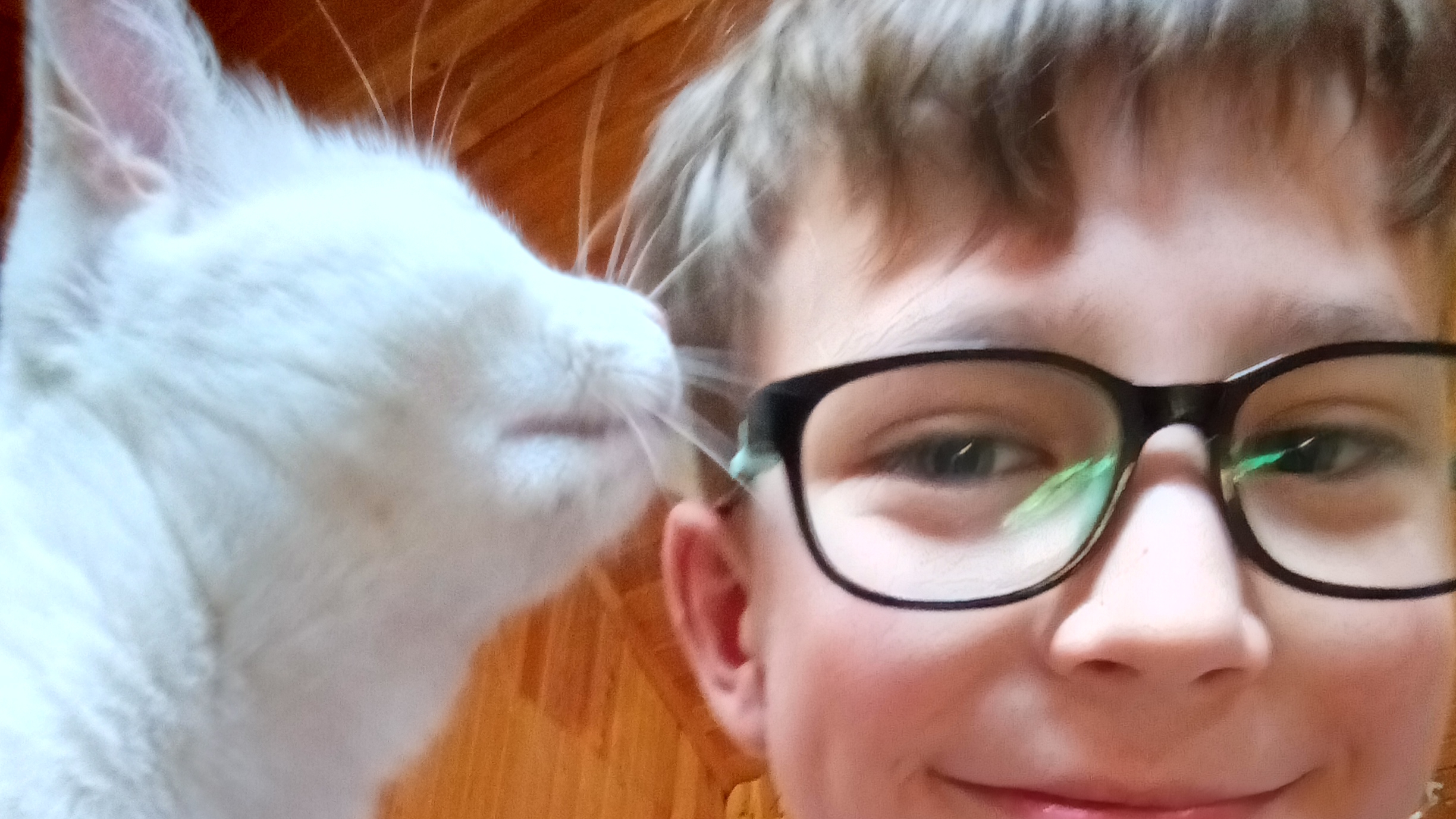 стрим смотреть онлайн