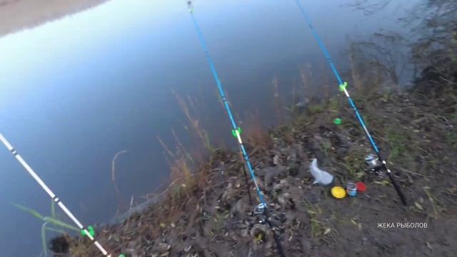 ВОТ ЭТО РЫБАЛКА!!! ЗАБРАЛСЯ В ТАКИЕ ДЕБРИ. Когда рыбалка превратилась в настоящее приключение. смотреть онлайн