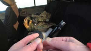 Первая РЫБАЛКА в новом году на глубине. ТАВРИЧАНКА