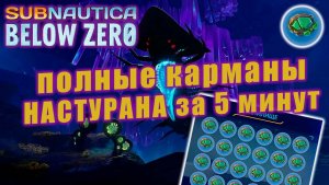 Где найти КРИСТАЛЛЫ НАСТУРАНА за 5 минут | Subnautica: Below Zero